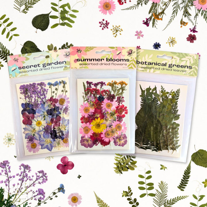 Dried Pressed Flower Sets